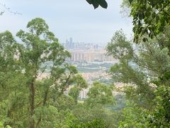 -火炉山森林公园