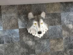 -6号玩家桌游吧(汉街店)