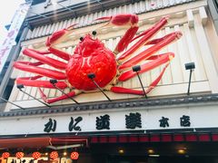 -蟹道乐(道顿堀本店)