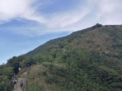 -梧桐山风景名胜区