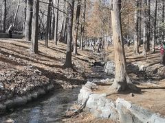 -白水寺森林公园