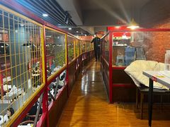 -大孩龙虾(体育场旗舰店)