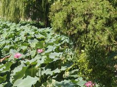 -莲池书院博物馆