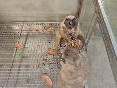 -青岛鑫江温德姆酒店