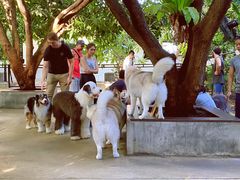 -TrueLove @ Neverland (Husky Cafe)