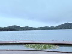 -水上明月·湖景餐厅