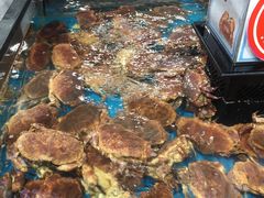 -盒马鲜生(曜一城店)