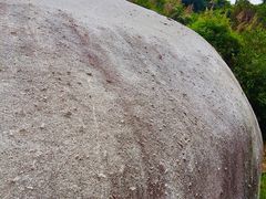 -火炉山森林公园