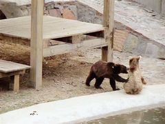 景点-石家庄市动物园