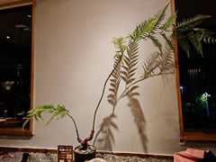 -宴武夷·匠心闽味(印象大红袍店)