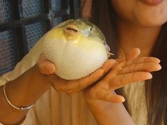 -永安鱼庄·镇江菜(丁卯店)