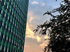 -杭州观成实验学校