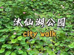 -沐仙湖湿地公园