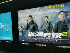 -奥斯卡升龙国际影城(RealD Cinema)