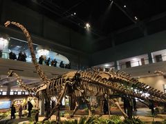 -自贡恐龙博物馆
