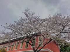 -浙江省杭州高级中学(贡院校区)