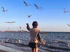 -老虎石海上公园