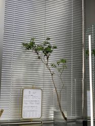 -三原色染发巴黎画染潮色漂色