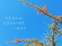 -静安雕塑公园