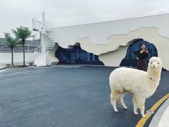 -Blue Concept Cafe&Farm·關於藍