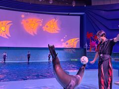 -南昌融创海世界