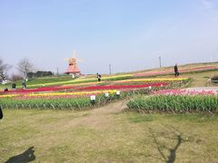 -杭州湾海上花田景区