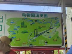 -西霞口神雕山野生动物世界