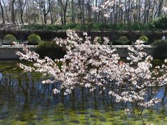 -海棠花溪(元大都城垣遗址公园)