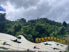 -西双版纳原始森林公园