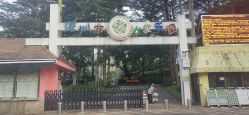 -深圳市儿童乐园