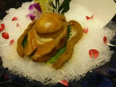 -皇城中餐厅·潮菜传承·私享宴客