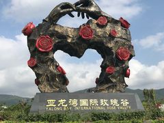 -亚龙湾国际玫瑰谷