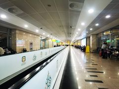 -开罗国际机场