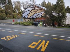 -怀托摩萤火虫洞