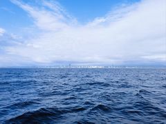 -黄金海岸