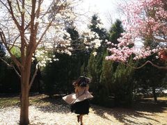 -三里屯东五街银杏大道