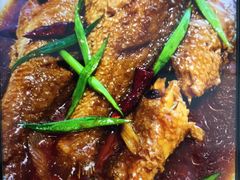 -到家尝北京菜(西坝河店)