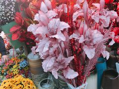 店内环境-天奕商城