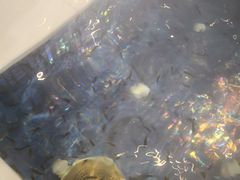 -水晶之星洗浴温泉汗蒸