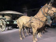 -秦始皇帝陵博物院(兵马俑)