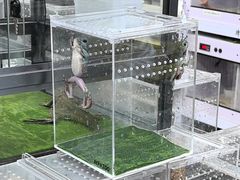 -三旗百汇商品城