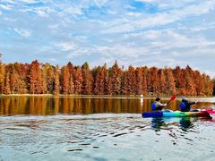 -上海海湾国家森林公园