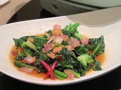 -新乾隆酒楼(帝景园店)