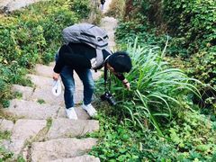 -枸杞岛