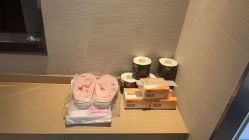 -乐茵敔山湾月子中心(独栋湖景店)