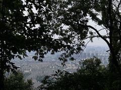 -惠山国家森林公园