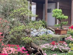 -惠山古镇·寄畅园