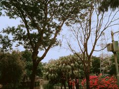 -晓港公园