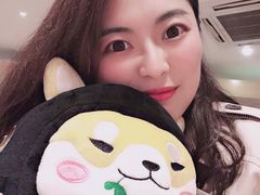 -柴务处·柴犬主题狗咖