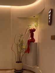 -WENDY·温迪皮肤管理